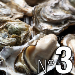 Huitres N°3 (x24)